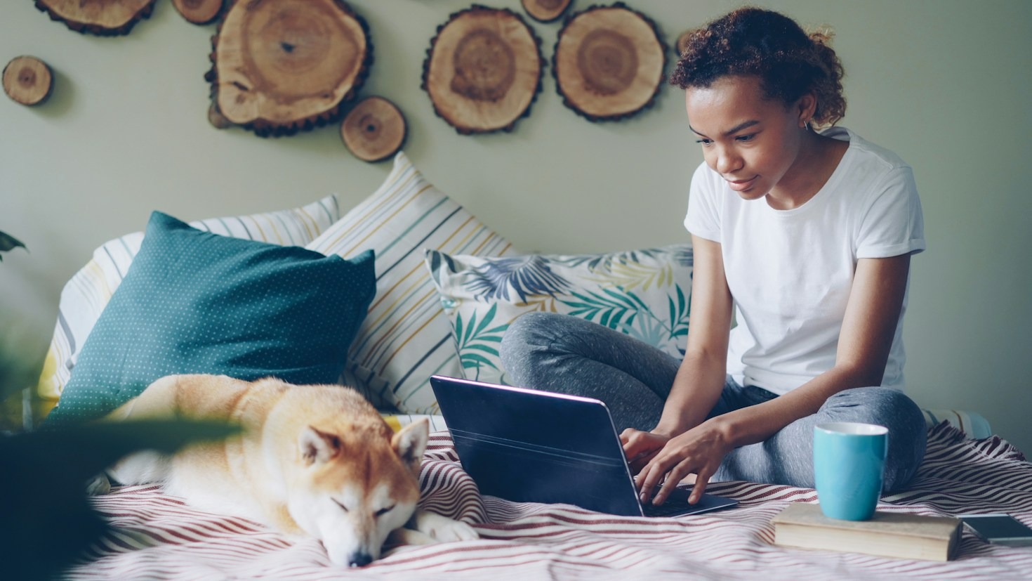 How to Choose the Right Insurance for Senior Dogs